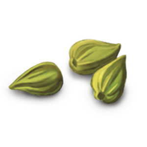 Cardamomo