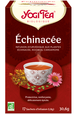 Échinacéa