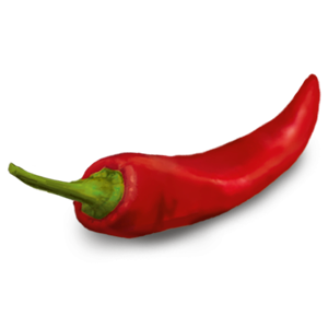 Chili pepper