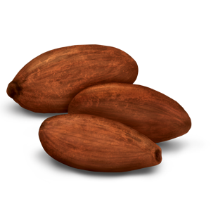 Cáscara de cacao