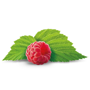 Raspberry leaves