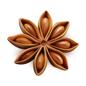 Star Anise