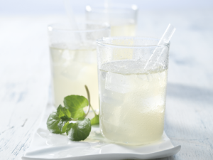 GingerLemon_Float_400x290px