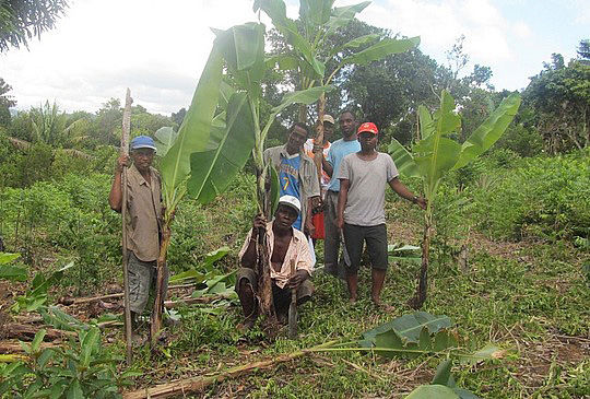 Le foreste commestibili del Madagascar