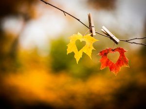 Mit Leichtigkeit durch den Herbst – Unsere Tipps für einen Tanz durch den goldenen Herbst.