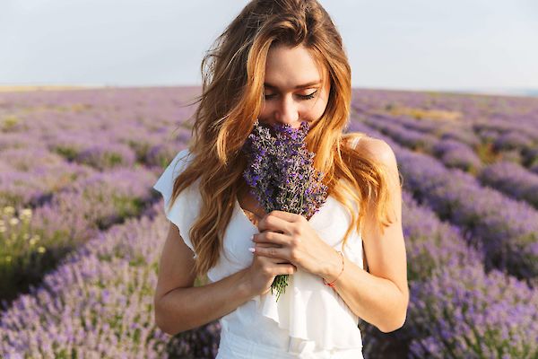 Meditation for the nose...and the senses!