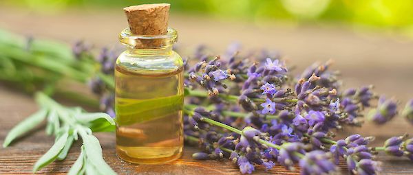 Profumi che incantano: i segreti dell’aromaterapia