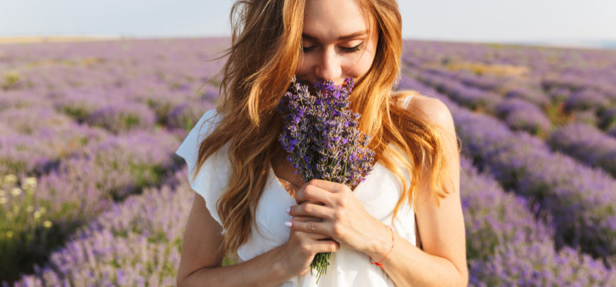 smelling meditation