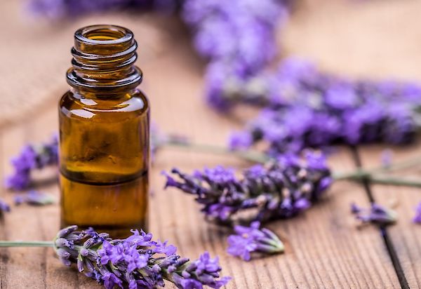 Aromaterapia: Los secretos del aceite de lavanda