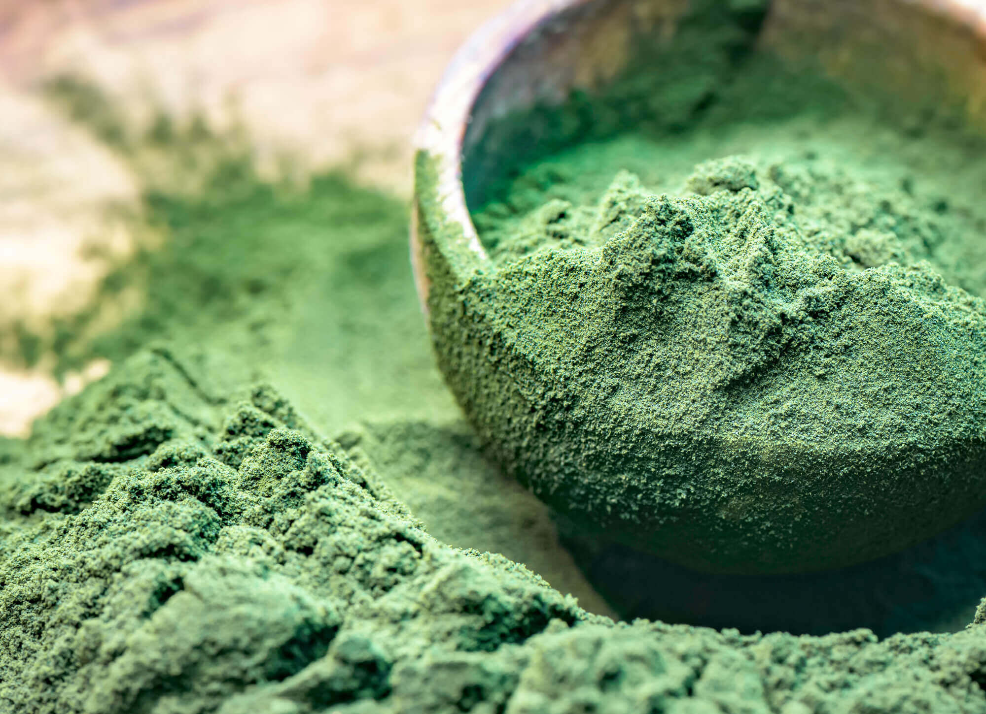 Minzige Chlorella in Pulverform