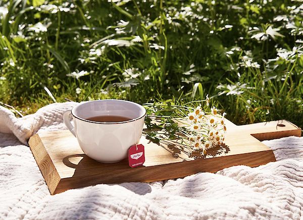 Reencuentro con la naturaleza y con tu yo interior