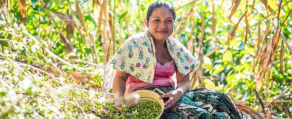 Célébration de notre communauté mondiale : Nelixia