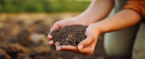 De voordelen van compost